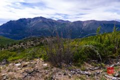 KN