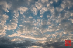 2016-08-29 065945