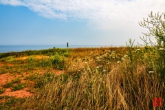2014-08-04 100828