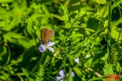 20160712_230852