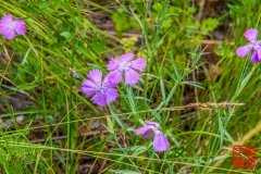 20160713_000615