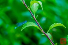 20160713_035638