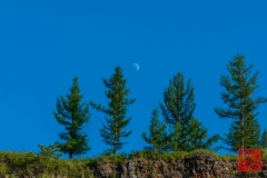 20160713_050617