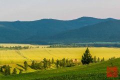 20160713_055624