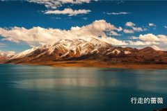 _WLI2051