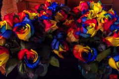 2014-10-24 14.37.52