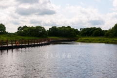 WLI0012