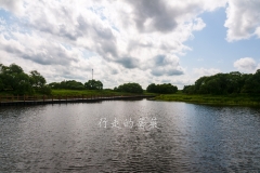 WLI0013