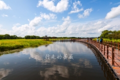 WLI0027