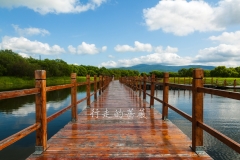 WLI0033