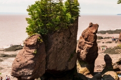 2014-08-03 104104