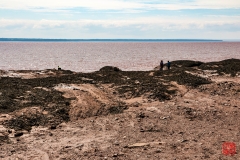2014-08-03 115358