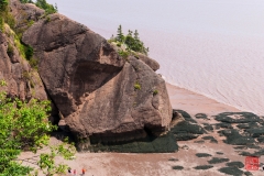 2014-08-03 115547