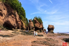 2014-08-03 120253