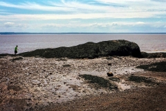 2014-08-03 120841 (1)