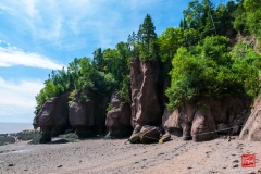 2014-08-03 122033
