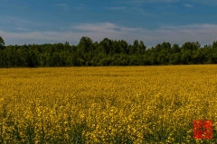 20160709_004647