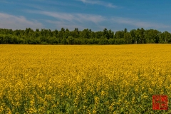 20160709_004657