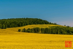 20160709_004847