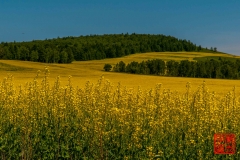 20160709_004950