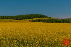 20160709_005428