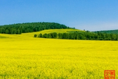 20160709_125255