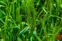 20160711_003634
