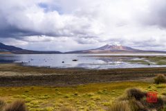 P1100283