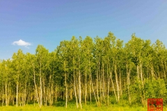 20160707_152720