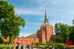 _WLI8771
