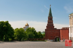 _WLI8782
