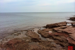 2014-08-06 120259