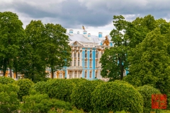 _WLI9198