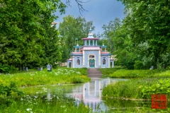 _WLI9260