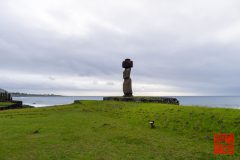 2_P1100685