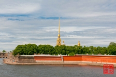 _WLI9108