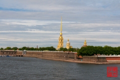 _WLI9110