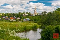 _WLI8949