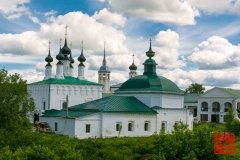 _WLI8951