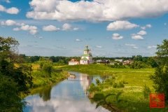 _WLI8956