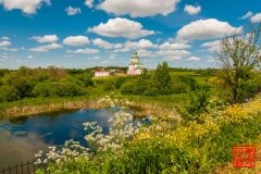 _WLI8970