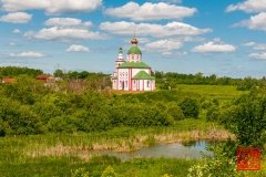 _WLI8974