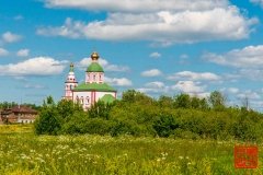 _WLI8979