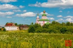_WLI8980