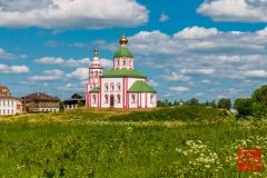_WLI8981