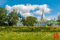 _WLI8982