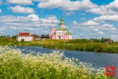 _WLI8989