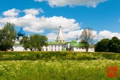 _WLI9030