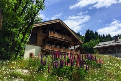 2015-06-21 112236 (1)