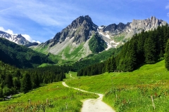 2015-06-22 095612